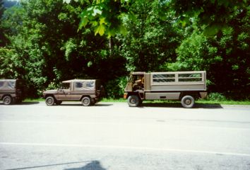The Army