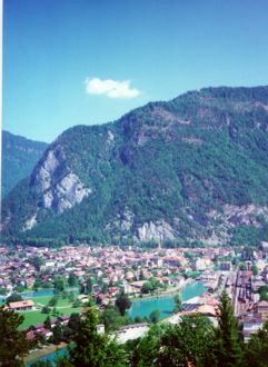 More View