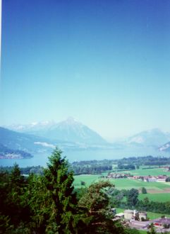 More View