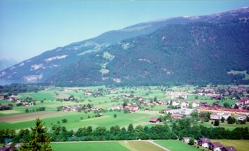 More View