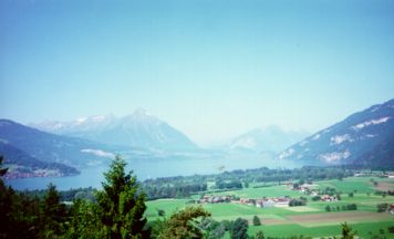 More View