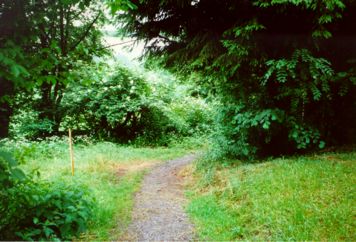The Path