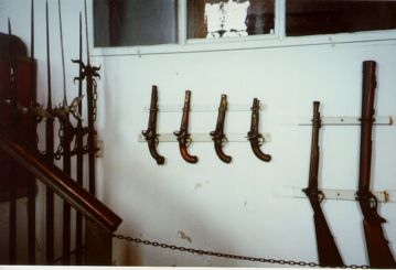 Guns