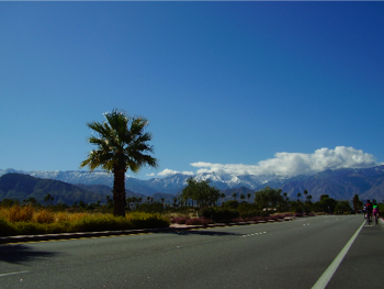P2140186.png